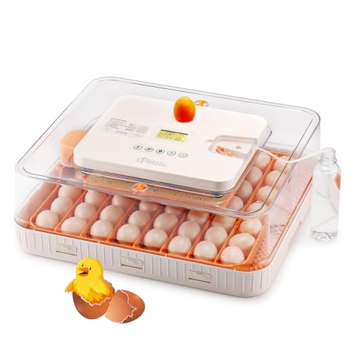iPettie Egg Incubator with Automatic Turning