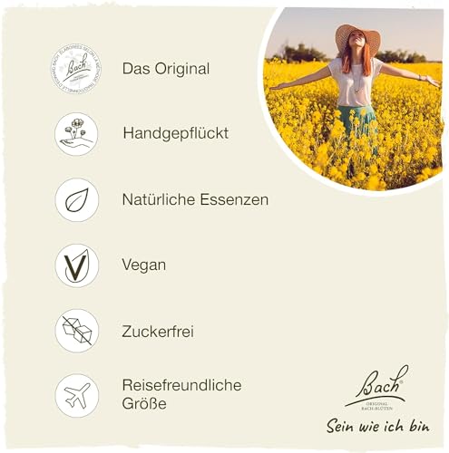 Original Bachblüten Tropfen Nr. 13 Gorse: Neue Kraft und positive Gedanken mit der Bach-Blüte Stechginster, 20ml