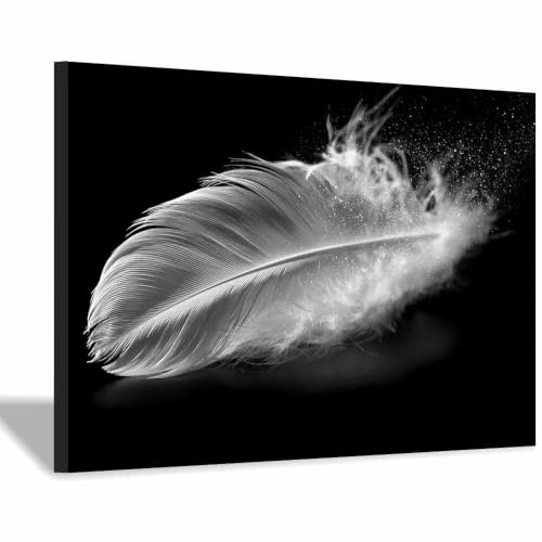 Tableau noir et blanc plumes blanches 70x100cm encadrée art minimaliste pour décoration maison