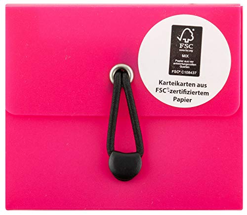 Stylex 49101 - Karteikartenbox DIN A8, mit 5 Fächern inklusive 100 linierte FSC Karteikarten, in 6, Wiederholen und Üben von neuen und Alten Vokabeln, sortierter Artikel