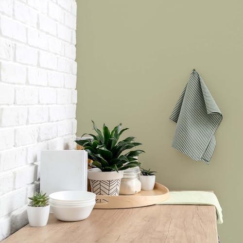 K&L Wall Art Pintura de pared mate para interiores, color verde, protección de pared moderna, 2,5 litros