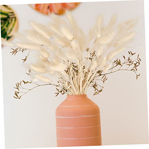 Luxshiny 100 Peças feno de rabo de coelho decoração de casa decoração de prop DIY de grama seca buqu