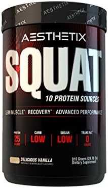 AESTHETIX Squat Protein Isolates for Lean Muscle and Optimun Recovery (Delicious Vanilla Ice Cream)