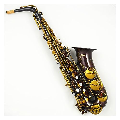 vtFbVi TbNX AgTbNXy퍇ԓ\ E tbg^J{fBTbNX}EXs[X