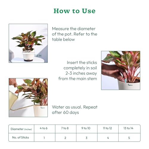 Image of UGAOO Plant Food Fertilizer Sticks for Indoor & Outdoor Plants | Slow Release Plant Fertilizer | Plant Growth Booster & Nutrition for Potted Plants, Home Garden | Lasts Up to 60 Days | Pack of 20