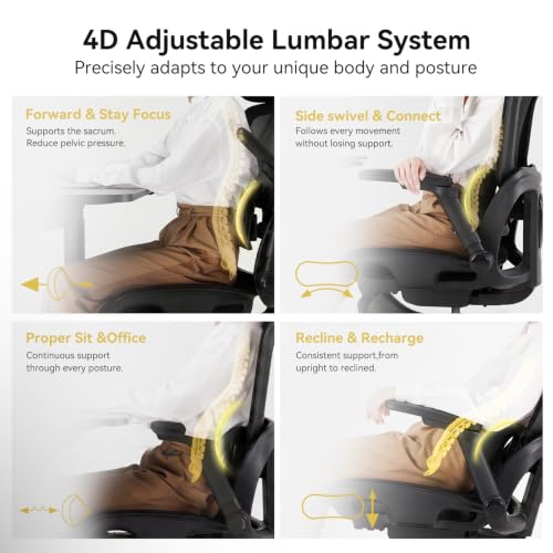 Image of SIHOO B300 Pro Ergonomic Office Chair Without Footrest, 4D Lumbar Support