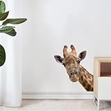 Realistic Giraffe Wall Decal,Safari Jungle Animal Sticker for Nursery, Kids Room, Bedroom or Wildlife Themed Decor