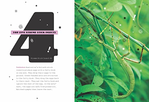 Stick Insects 1608189937 Book Cover