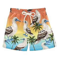 Orange-footed Booby Birds