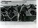 Viking Drill Tool The Siege The Remarkable Story of the Greatest SAS Hostage Drama.