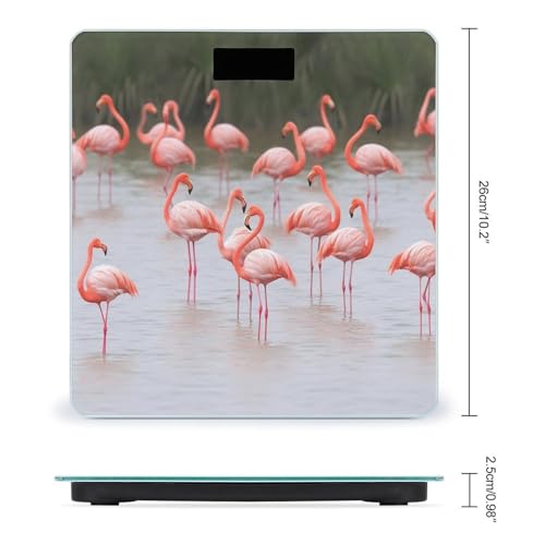 Báscula digital baño flamencos rosa 400 lb LCD miniatura 2