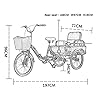 Adult Tricycle Three Wheel Bike 20in Comfort Bicycles with Rear Seat & Shopping Basket Adult Tricycle for Seniors Women Men Cycling Pedalling #1