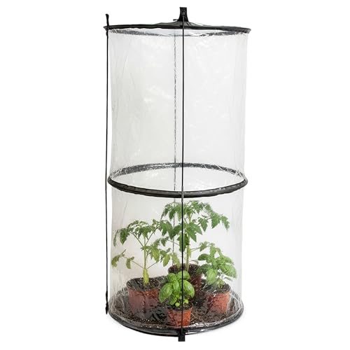 Pop-Up Folien Gewächshaus für Tomaten - 110 x 49 cm - Garten Treibhaus für Gemüse - Frühbeet Pflanzen Anzucht Schutz Zelt PVC Transparent Abdeckung mit Drahtgestell aus Fiberglas