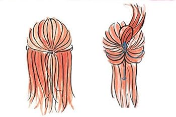 Amazon.co.jp: ブイッネット ビューティー ポニーアレンジスティック