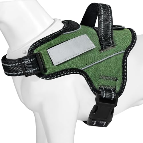 y{挢n[lXzBaoCheng p ^/^/^n[lX ΍ AɗD ȐF ʋC SȂ l[v[g 7FI(A[~[O[AS)