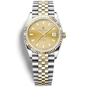 Pagani Design 1645 Herren-Automatikuhren, NH35-Uhrwerk, Edelstahlband, 100 m wasserdicht, selbstaufziehend, Armbanduhr