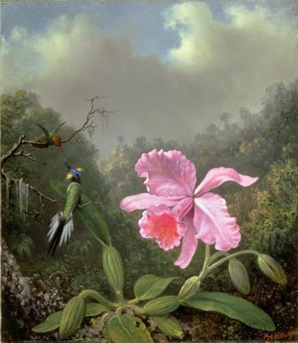 Lienzo de bodegón con una orquídea y un par de colibríes con reproducción de alta definición