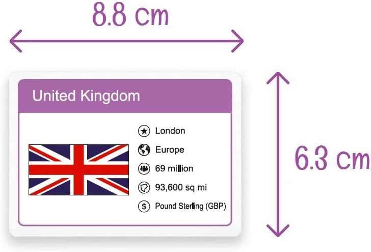 Little Wigwam Flags of The World Flash Cards - Set of 216 Flags + Country Information