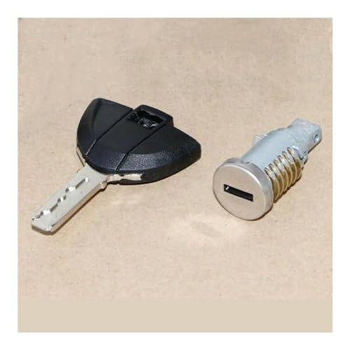 Carénage latéral moto en fibre de carbone hydro pour habillage premium arrière de S1000RR