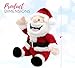 4E's Novelty Animated Santa Claus Plush, Makes Gas Sound, Talking Christmas Bear Plush Toys for Kids 8