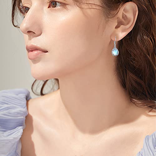 Butterfly/Fan/Mermaid Tail/Dragonfly/Celtic/Moonstone/Black Onyx/Moss Agate Teardrop Drop Dangle Earrings Jewelry Gifts for Women Mom Wife3