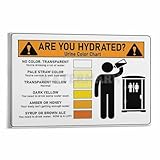 Urine Color Chart Poster,Are You Hydrated Canvas for Living Room Bedroom Decor 12x08inch(30x20cm) Frame-style