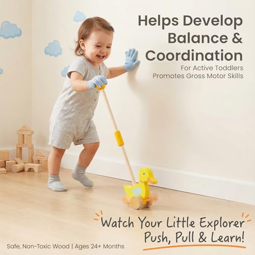 Image of Wooden Push Toys for Toddlers 1-3, Baby Pull Along Stick Walking Duck | Montessori Early Development Toy for 1 Year Old Girls Boys Birthday Gift