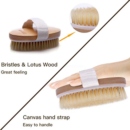 Ithyes Dry Brushing Body Brush Exfoliating Brush Natural Bristle Bath Brush for Remove Dead Skin Toxins Cellulite,Treatment,Improves Lymphatic Functions,Exfoliates,Stimulates... - Image 4
