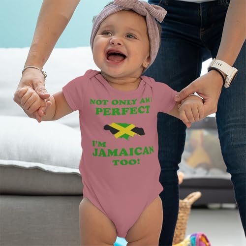 Not Only I'm Perfect I'm Jamaican Too Baby Bodysuit One Piece Oxford Gray 6 Months4