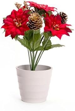 Blossom Collection 30cm Scented 5 Light LED Silk Xmas Star Flower Pot Battery.