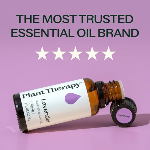 Plant Therapy Lavender Essential Oil 100% Pure, Undiluted, Natural Aromatherapy, Therapeutic Grade 100 mL (3.3 oz)