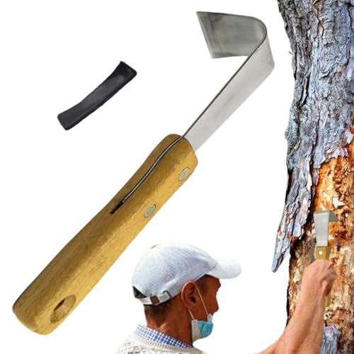 甍c[Aʎ̕sXN[p[蓮XN[p[K[fjOXN[p[b@\XN[sOXN[sOc[ 甍c[ - ʎp蓮c[ | AA؍HAŐApeBIp̑ړIVF[o[nhc[