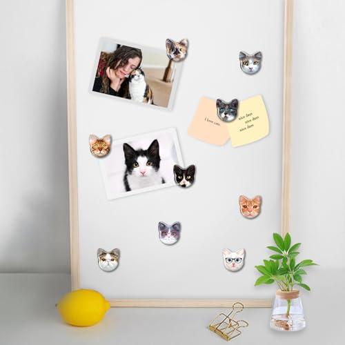 Imanes decorativos para refrigerador gatos 30 pcs miniatura 4
