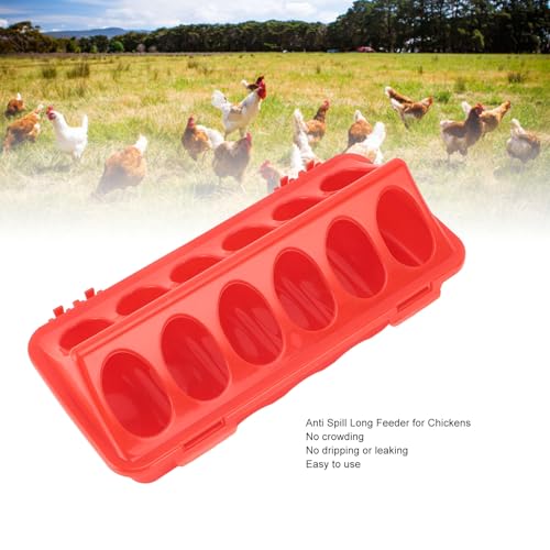 5Pcs Flip Top Chick Feeder, Plastic Flip Top Bird Small Poultry Feeder, Poultry Feeding Tray with Holes, Small Poultry Feeder Drinker, Multihole Birds Feeding Dish for Birds
