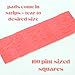 Moisture Absorbent Pads for Fruit and Microgreen Plastic Clamshell Containers – Pack of 100 – 3.25” x 3.25” – Fits Pint and Half Pint Clamshell Containers