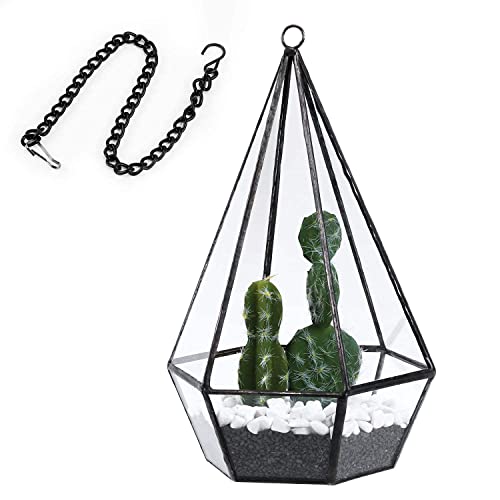 Asvert Macetas para Plantas de Desierto Forma Geométrica Adorno Hogareño para Florita Decoración Sobremesa para Casa Oficina Balcón Patio y Hotel Cover