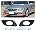 YEPLKMNK Car Front Bumper Fog Light Bezel Trim Frame Compatible With Mercedes-Benz CLK-Class W209 2005-2009 Fog Lamp Cover(Black Left)
