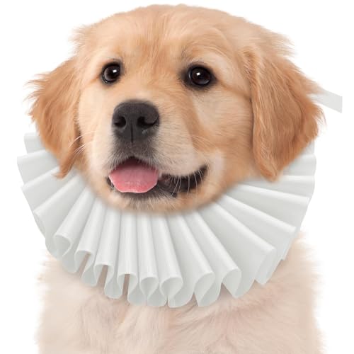 Collar renacentista para perro, accesorio de cuello con volantes de gato y perro, disfraz de estilo isabelino, diseño de tela suave, ropa ligera para mascotas, perfecto para mascotas pequeñas y