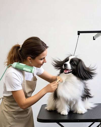 L&W BROS. Hands-Free Dog Dryer – Powerful & Professional Pet Blow Dryer for Small & Medium Dogs & Cats, Adjustable Airflow, Easy Storage, Negative Ion Technology (Green)