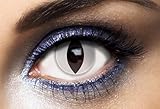 Sans correction P\'TIT CLOWN - Lentilles de Contact (sans correction) -Journalières- Parfaites pour Compléter votre Déguisement pour Halloween, Carnaval et autres Fêtes Costumées (Chat blanc, 2 unité (Lot de 1), 0)