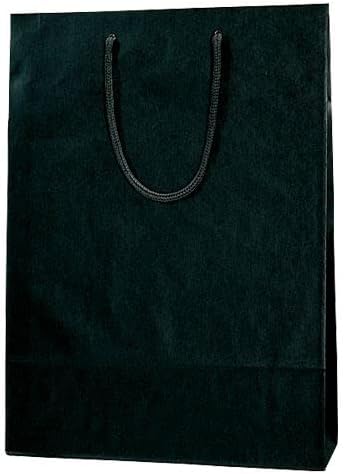 （まとめ） シモジマ カラーチャームバッグ 2才 黒 10枚入【&times;5セット】 top1-ds-2282828 [独自簡易包装]