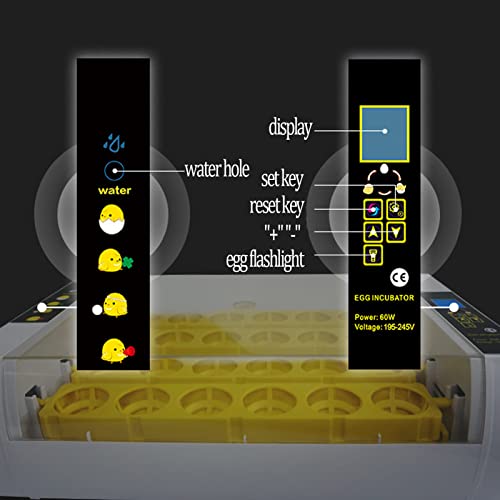 ZQWOZQ Automatische Eggs Brutmaschine, Intelligent, Konstanttemperaturregelung Inkubator Für 24 Eier, Klein Heimat… – Bild 7