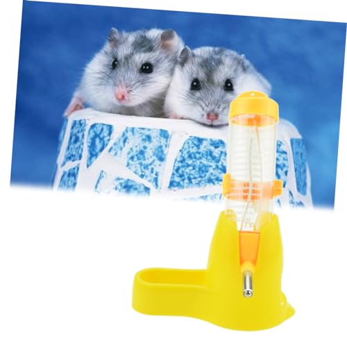 Buying Guide NOLITOY 3pcs Small Water Dispenser Rabbit Water