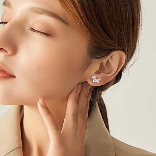 925 Sterling Silver Sausage Dog Earrings Gift Dog Studs Earrings for Women Girls Animal Jewellery, Sausage Dog Gifts