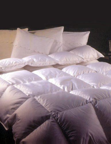 シベリアンホワイトグースダウン 羽毛掛け布団 ダブル 本掛け布団と肌掛け布団 Amazon｜ダウン掛け布団 大きなクラスター シベリアンホワイトグース