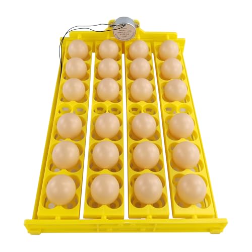 Incubadora automática, digital con pantalla de temperatura, volteador automático, incubadora para huevos de granja, pollos para incubar 24 huevos