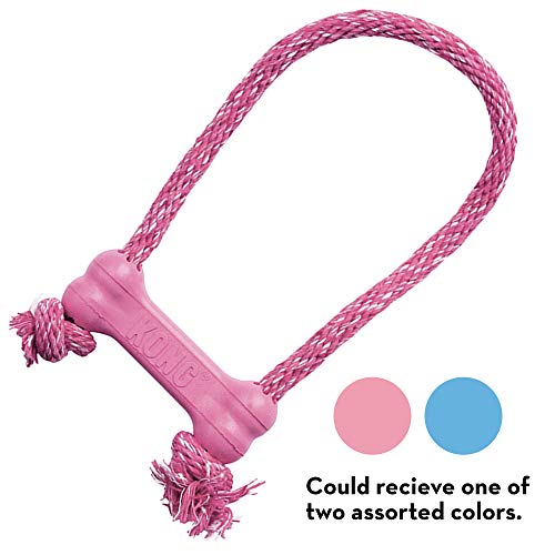 Kong - Puppy Goodie Bone With Rope - Teething Rubber, Teeth Cleaning Dog Toy - For X-Small Puppies - Blue #TOP2