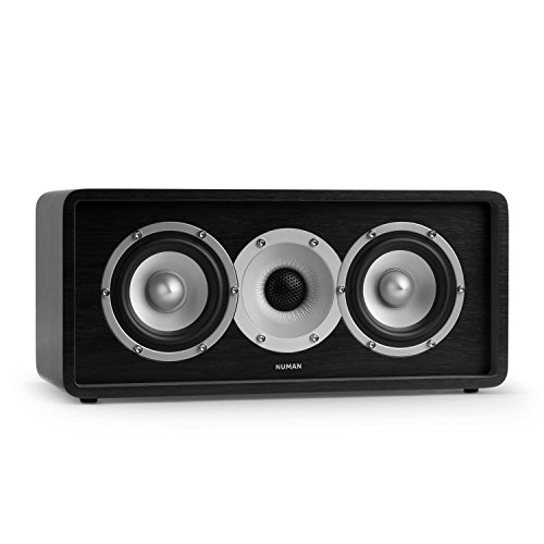 Numan Retrospective 1979 C Altavoz Central de Dos vías (120W Potencia máxima, subwoofer de 4, diseño Retro, Home Cinema) - Negro