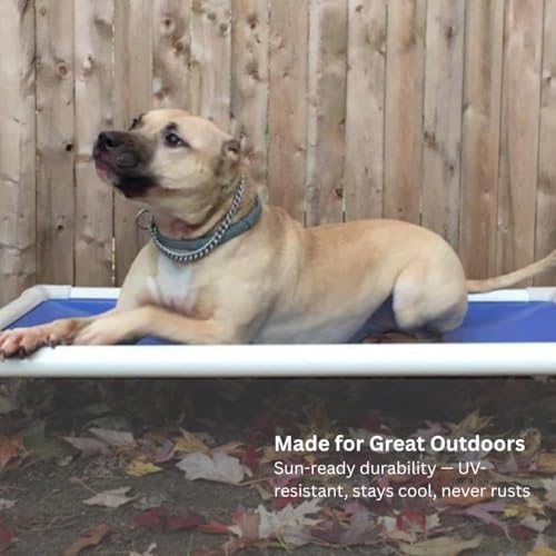 Kuranda Chewproof Elevated Crate Bed - Silver Aluminum - 44" x 27" - Vinyl - Royal Blue