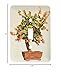 3dRose Lsp_13926_1 Penjing Bonsai with Orange Flowers Single Toggle Switch